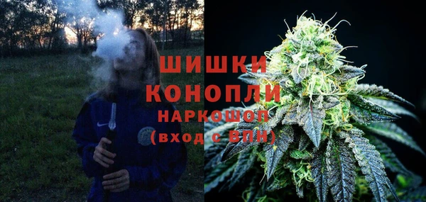 метадон Снежногорск