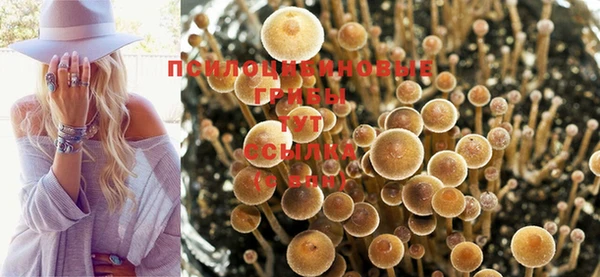 метадон Снежногорск