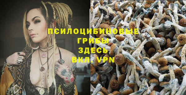 прущие крисы Снежинск