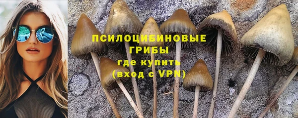 метадон Снежногорск