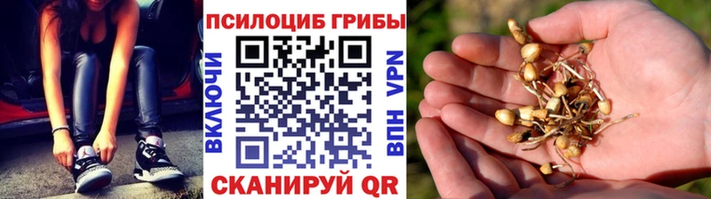 Псилоцибиновые грибы ЛСД  Купить закладки  Ершов 