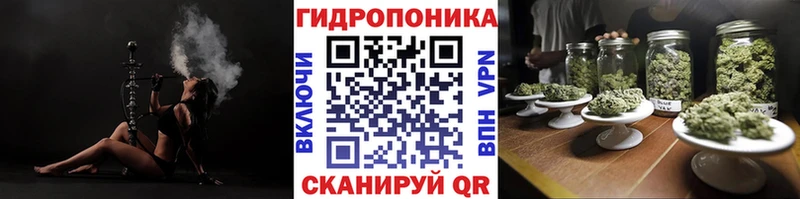 Купить где  Ершов  Конопля сатива 